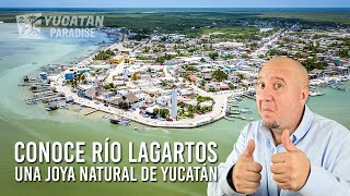 Volando sobre Río Lagartos 🐊 Descubre la naturaleza de Yucatán 🌅 [upl. by September704]