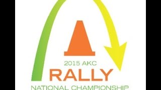 AKC Rally National Championship 2015 [upl. by Nemracledairam232]