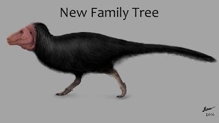 The New Dinosaur Family Tree Explained [upl. by Goddard24]