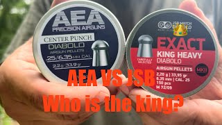 AEA vs JSB pellets face off [upl. by Hesky]