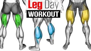 Full LEG Muscle Transformation 8 Best Exercises [upl. by Bekaj]