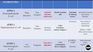 Diarrheagenic E coli amp agents causing diarrhea MBBS Microbiology [upl. by Palma]