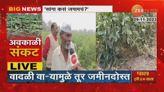 Amravati  Ground Report  Tur Crop Damamge From Unseasonal Rainfall [upl. by Taite]