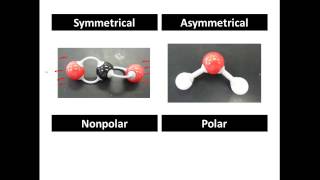 Polar and Non Polar Covalent Molecules Polar vs Nonpolar  CLEAR amp SIMPLE [upl. by Oby680]