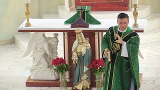 Fr Mitch Semars Homily Who do you say that I am August 27 2023 21st Sunday in Ordinary Time [upl. by Shedd]