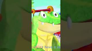 Crocodile Alligator Song  CoComelon Nursery Rhymes amp Kids Songs shorts [upl. by Aiouqahs]