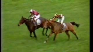 1984 Tingle Creek Handicap Chase [upl. by Uot]