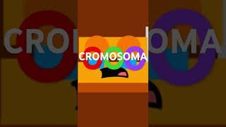 Cromosoma logo part 4 [upl. by Masry432]