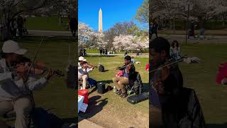 An artist at Tidal Basin Washington DC america nature explore washingtondc [upl. by Holna82]