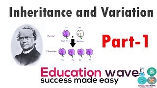 Biology Principles of inheritance and variation class 12  Genes  Autosomes  In Hindi Part1 [upl. by Anirbys]