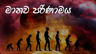 පරිණාමය Sinhala Wadan Sinhala Nisadas  Hithata Wadina Wadan පරිණාමය පරිණාමයconcert [upl. by Mathew]