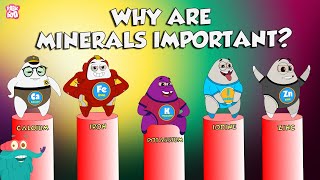 Why Are Minerals Important  Functions Of Minerals  The Dr Binocs Show  Peekaboo Kidz [upl. by Niltyak]