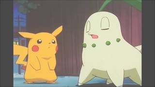 Pokemon AMV Ashs Chikorita  Secret Combination [upl. by Steep87]