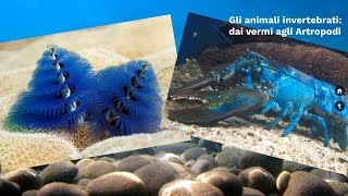 LE SUPERSINTESI DI SCIENZE Gli animali invertebrati  dai vermi agli Artropodi classe prima [upl. by Paco]