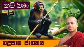 Nalapana Jathakaya  නළපාන ජාතකය  Sinhala Kavi Bana  සිංහල කවි බණ [upl. by Edik]