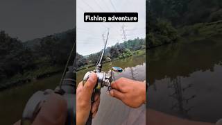 Fishing adventure fishinglife fishtank fisherman fishvideo river aquarium catfish fishing [upl. by Alvord]