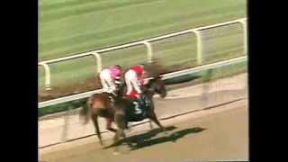 Affirmed  1978 Belmont Stakes CBS footage [upl. by Germann]