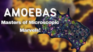 Amoebas Masters of Microscopic Marvels [upl. by Rubinstein647]