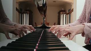 Chopin E Minor Prelude in the Rain Prelude op 28 no 4 [upl. by Patty]