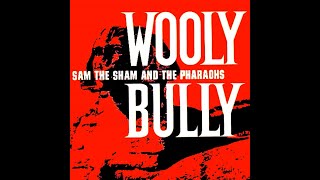 Sam The Sham And The PharaohsWooly BullyExtended Mix [upl. by Fruin]