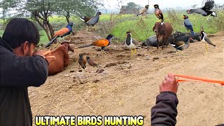 Ultimate Birds Hunting Skills With Handmade Slingshot [upl. by Brenner]