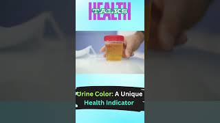 Urine Color A Unique Health Indicator shorts shortsfeed ytshorts health facts [upl. by Aihsit]