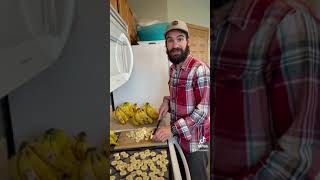 Dehydrating bananas for backpacking [upl. by Bremer318]