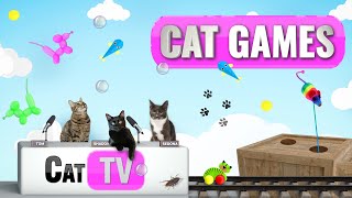 Cat Games  Ultimate Cat TV Compilation Vol 5  🦎 🐠 🐹 🐟 🎉 [upl. by Verbenia831]