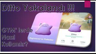 POKéMON GO DITTO YAKALANDI PEKİ NE İŞE YARAR [upl. by Nylrebmik]