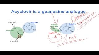 Mechanism of Action of Acyclovir [upl. by Madai588]