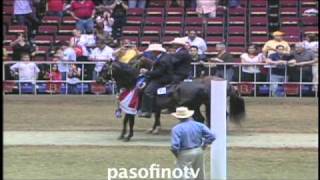 paso fino Joyero III amp Jordan [upl. by Henleigh]