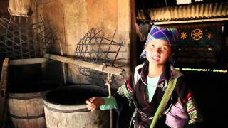 Hiking to Lao Chai  Sapa Vietnam  HD 1080p [upl. by Ameluz]