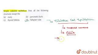 Simple cuboidal epithelium lines all the following structures except the [upl. by Knowle]