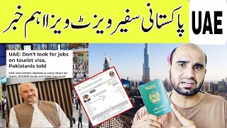 🇦🇪 Pakistanis Visit Visa Apply New Updates Ambassador Tirmizi said Dont look for jobs on tourist [upl. by Mcclimans]