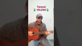 Tananai VELENO  Cover con accordi [upl. by Ziza692]