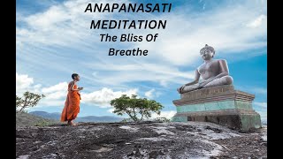 ANAPANASATI DHYAN  guided meditation [upl. by Aerdnu128]