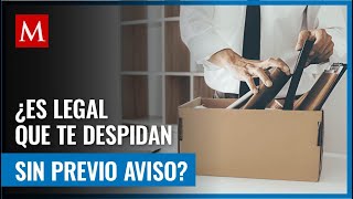 Esto es lo que dice la Ley respecto a los despidos y cómo se debe proceder [upl. by Enidan]