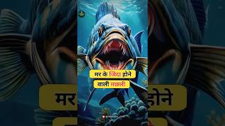 मर के जिंदा होने वाली मछली 😱  interesting fact about zombie fish shortsfeed shorts [upl. by Lexy]