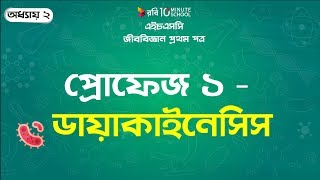 ০২৯ অধ্যায় ২  কোষ বিভাজন প্রোফেজ ১ ডায়াকাইনেসিস Prophase 1 – Diakinesis [upl. by Port]