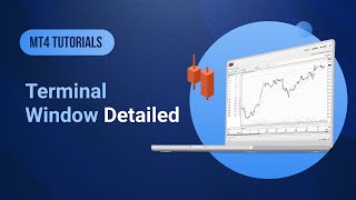 XMCOM  MT4 Tutorials  Terminal Window Detailed [upl. by Eiaj]