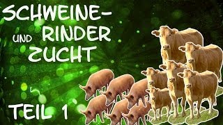 Teil 1 Schweine und Rinderzucht Betrieb mit Reallocutus Hardstyler und Karvon  LS 13 Mod Test [upl. by Akined]