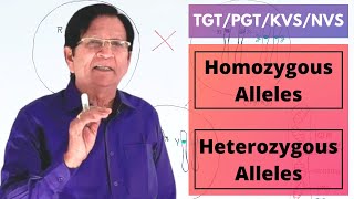 Homozygous amp Heterozygous Alleles  TGTPGTKVSNVS [upl. by Enomor]