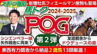 【POG情報20242025】最新2歳馬を13頭厳選！ドウデュースの弟、初のフィエールマン産駒、シンエンペラー級の良血など…競馬 pog 2歳馬情報 [upl. by Cherian]