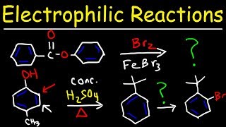 Electrophilic Aromatic Substitution Reactions Made Easy [upl. by Flore]