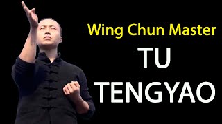 TU TENGYAO The Best  Wing Chun Master [upl. by Claudianus]