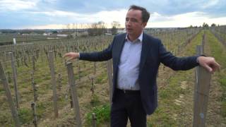 Bordeaux 2015 Winemaker JeanPhilippe Delmas Comments on La Mission HautBrion [upl. by Krasner]