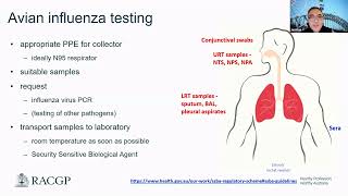 Avian Influenza H5N1 measles and dengue  current advice for primary care practitioners [upl. by Bordie]