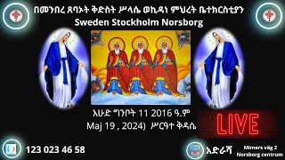 እሁድ ግንቦት 11 2016 ዓም Maj 19  2024 ሥርዓተ ቅዳሴ ቀጥታ ሥርጭት [upl. by Desdemona]