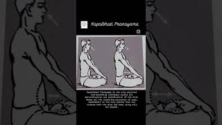 Kapalbhati Pranayama yoga kapalbhatipranayama pranayama cleansemindampbody adianantyogastudio [upl. by Emoryt225]