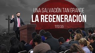 ¿Que es La Regeneración [upl. by Yesnil]